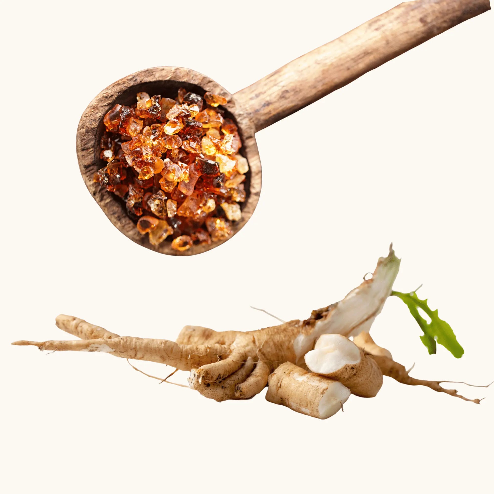 Mealbars prebiotic binders